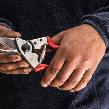 Felco | Vasakukäeline oksakäärid | FELCO 16