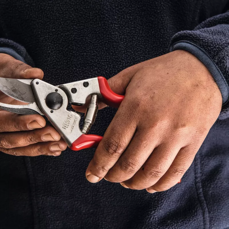 Felco | Vasakukäeline oksakäärid | FELCO 16