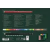 Õlipõhine pliiatsikomplekt Faber-Castell Polychromos & Pitt Graphite Matt 48 tk mitmevärviline