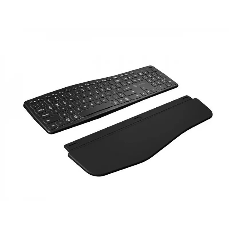 NATEC PORIFERA klaviatuur Kodu/Kontor Bluetooth QWERTY US International Must