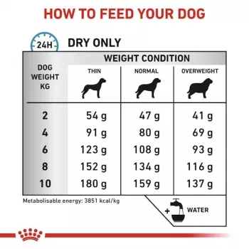 Kuiv koeratoit Royal Canin Anallergenic Small — hüpoallergeenne valem väikestele täiskasvanud koertele, 3 kg, lihamaitsega, gluteeni- ja suhkruvaba