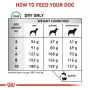 Kuiv koeratoit Royal Canin Anallergenic Small — hüpoallergeenne valem väikestele täiskasvanud koertele, 3 kg, lihamaitsega, gluteeni- ja suhkruvaba