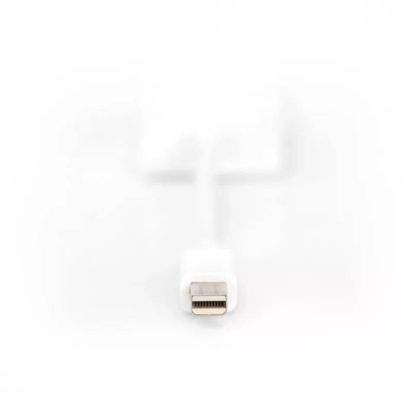 DisplayPort adapterkaabel Digitus DB-340407-001-W