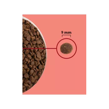 ACANA Highest Protein siseruumides kasutatav Cat - kuiv kassitoit - 4,5kg