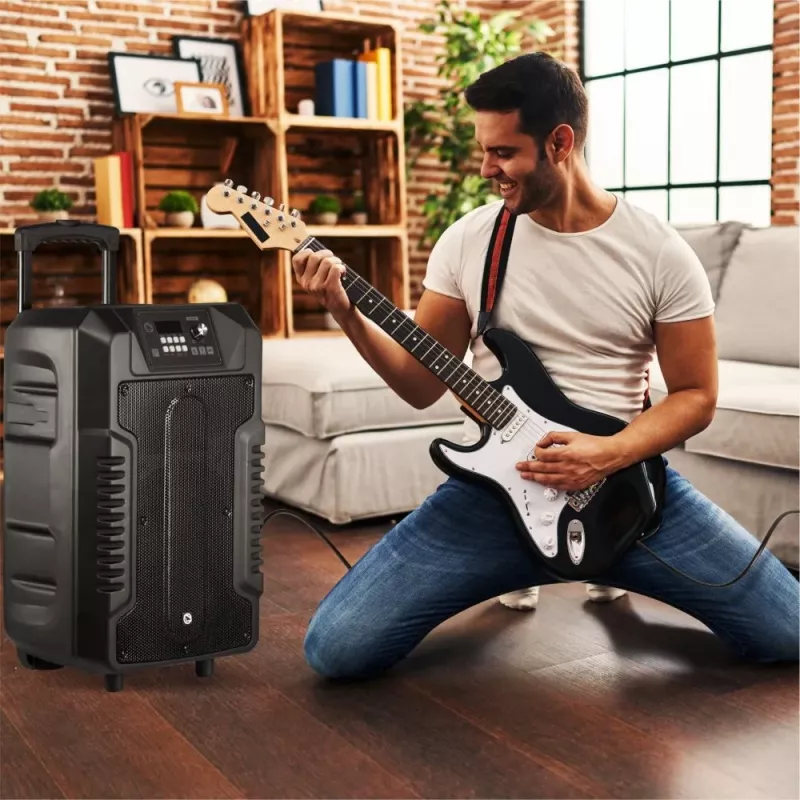 Kõlarid Manta SPK1203B100 100W