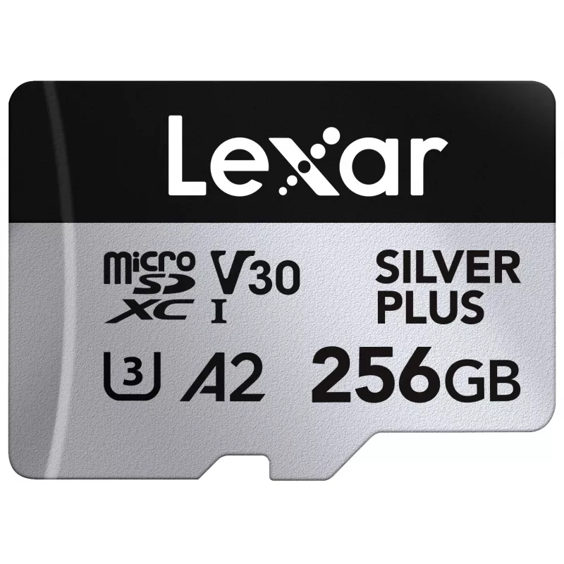 Mälukaart microSD 256GB C10 A2 U3 V30 205/150MB/s Silver Plus