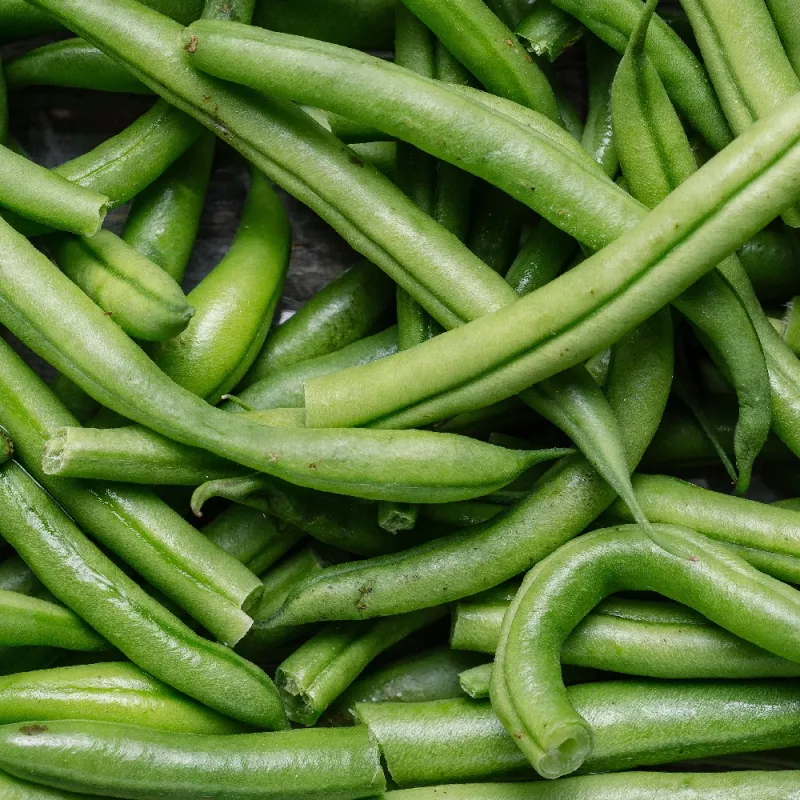Nomad Green Dwarf Bean Seeds, 50g - köögiviljaseemned
