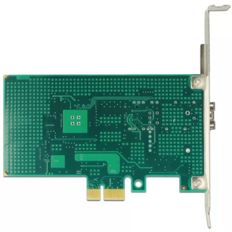 DeLOCK 89481 sisemine fiibervõrgukaart 1000 Mbit/s