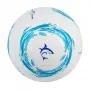 Jalgpall White Shark TB-001 Dribbler 32-paneelne Suurus 5
