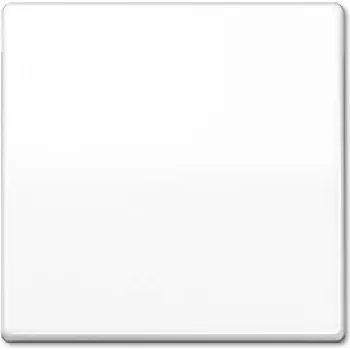 Seinalülituselement JUNG AS 591 WW valge – mudel AS591WW