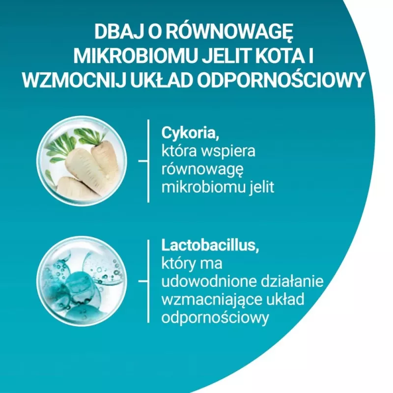 PURINA One Bifensis Sterilcat Veiseliha - kuiv kassitoit - 800 g
