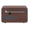 Kaasaskantav DAB+ raadio Imperial DABMAN i170 — FM/DAB+ tuuner, 10 W RMS, 2,4-tolline ekraan, 3,5 mm, USB-A, must/puit