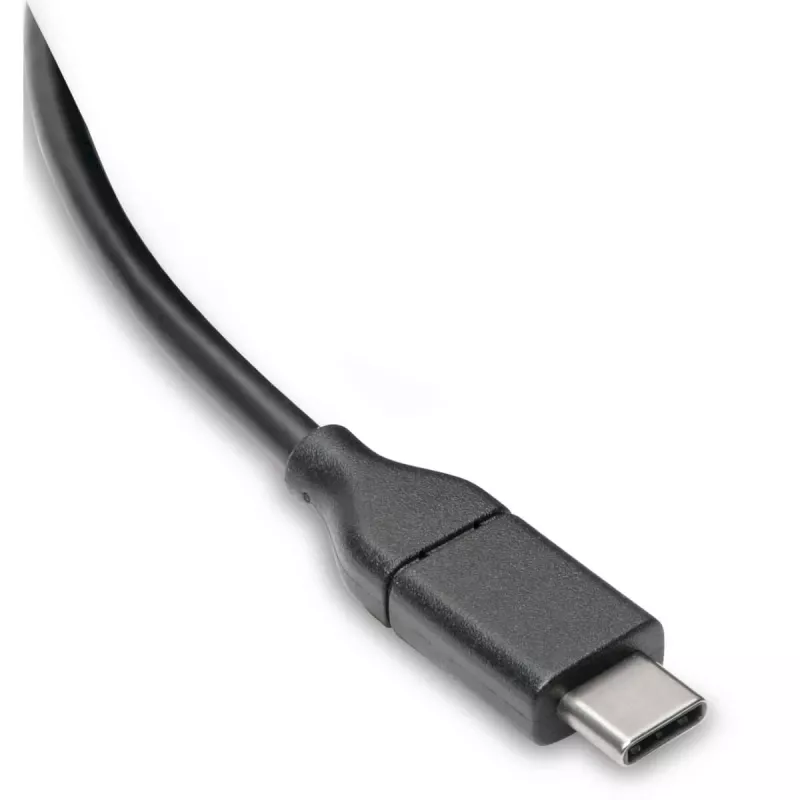 Eaton Tripp Lite Series USB-C kaabel (M/M) - USB 2.0, 5A (100W) nimivõimsus, 6 ft (1,83 m) - USB-kaabel - 24 kontaktiga USB-C (M) kuni 24 kontaktiga USB-C (M) - USB 2.0 - 20 V - 5 A - 1,83 m - vormitud