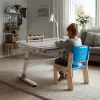 Ergo Office laste ergonoomiline kõrgusega reguleeritav laud, hall, max 100kg, ER-417 2cz