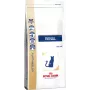 Kuiv kassitoit Royal Canin Renal Adult 2 kg — linnuliha maitsega, 23% valku, 17% rasva