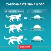 PURINA One Bifensis Sterilcat Veiseliha - kuiv kassitoit - 800 g