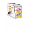 Märg koeratoit Royal Canin Dermacomfort Adult 85 g kotike — tundlikule nahale, linnulihamaitsega, 78% niiskust
