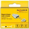 DeLOCK - Thunderbolt / USB-C adapter - USB-C (M) magnetic to USB-C (W) - USB 3,2 Gen 2 / Thunderbolt 3 4,5 A - 8K tugi - hõbedane (66433)