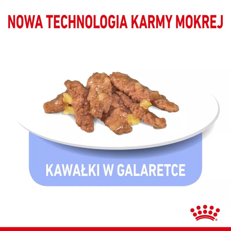 Märg kassitoit Royal Canin Indoor Sterilized 85 g kott — täiskasvanud toas elavatele kastreeritud kassidele, linnuliha maitsega, pakendis 12 x 85 g