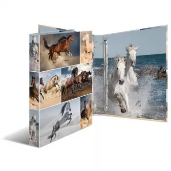 Ring binder A4 HERMA 19360 Multicolour