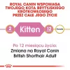 Kuiv kassitoit Royal Canin British Shorthair Kitten 2 kg – kana, 38% valku, 20% rasva, kasvuvalem