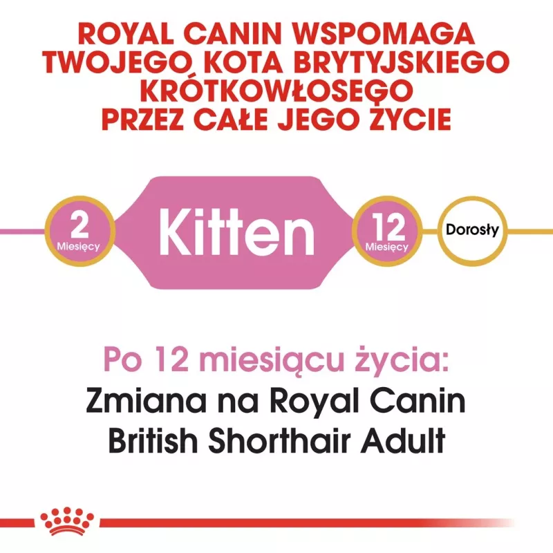 Kuiv kassitoit Royal Canin British Shorthair Kitten 2 kg – kana, 38% valku, 20% rasva, kasvuvalem
