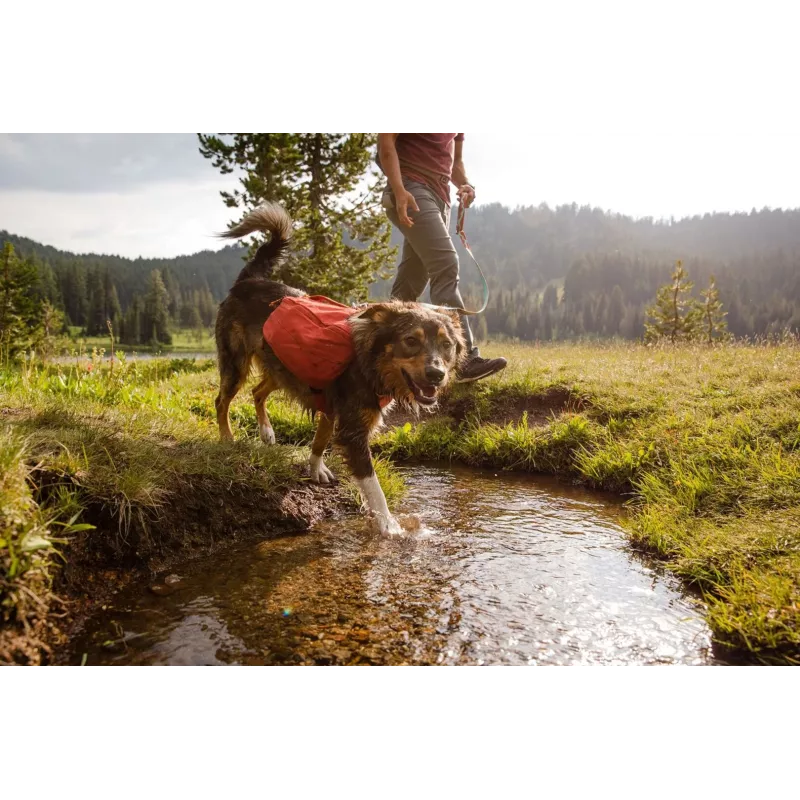 Ruffwear Front Range XS sinine polüester