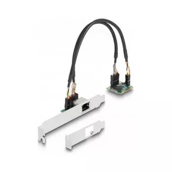 DeLOCK 95271 Sisemine võrgukaart 2500 Mbit/s Mini PCI Express
