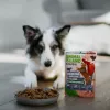 ANIMAL ISLAND Igapäevane Monoproteiin vasikaliha - märg koeratoit - 300g
