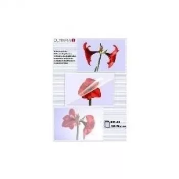 Lamineerimistasku Olympia 1x50 DIN A3 125 mikronit