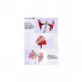Lamineerimistasku Olympia 1x50 DIN A3 125 mikronit