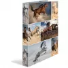 Ring binder A4 HERMA 19360 Multicolour