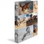 Ring binder A4 HERMA 19360 Multicolour