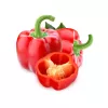 Seemnepakk Seklos LT Paprika Jolanta 0,5 g – magusa paprika seemned kasvatamiseks