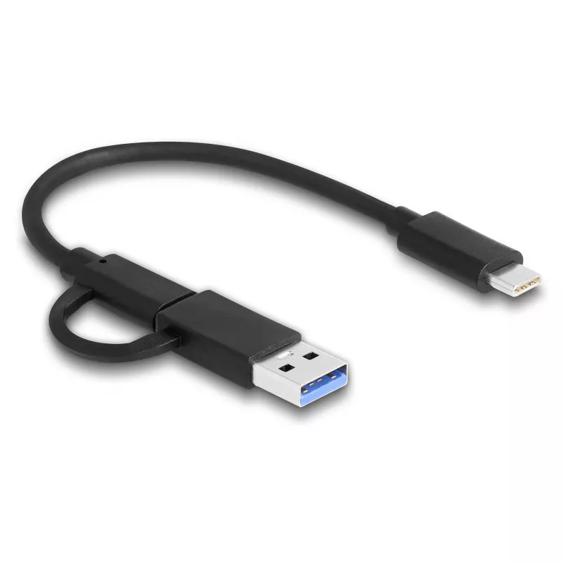 DeLOCK USB USB-C kaardilugeja CFexpress XQD Alumiinium Hall 10000 Mbit/s