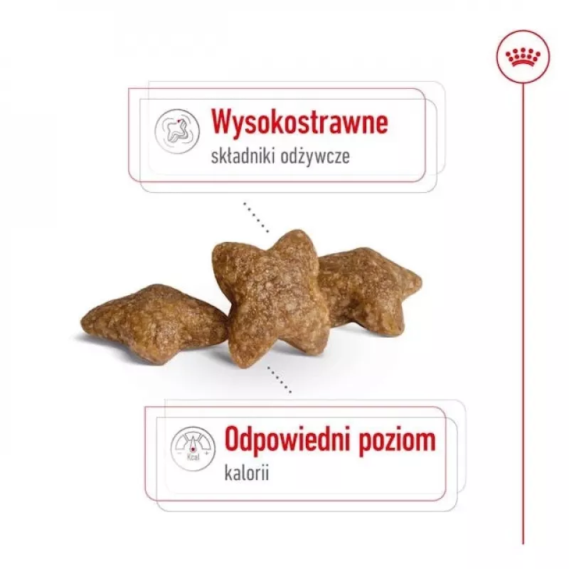 ROYAL CANIN Adult Mini S - kuiv koeratoit - 2 kg