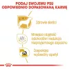 Kuiv koeratoit Royal Canin Maltese Adult 1,5 kg — kana, 24% valku, 18% rasva