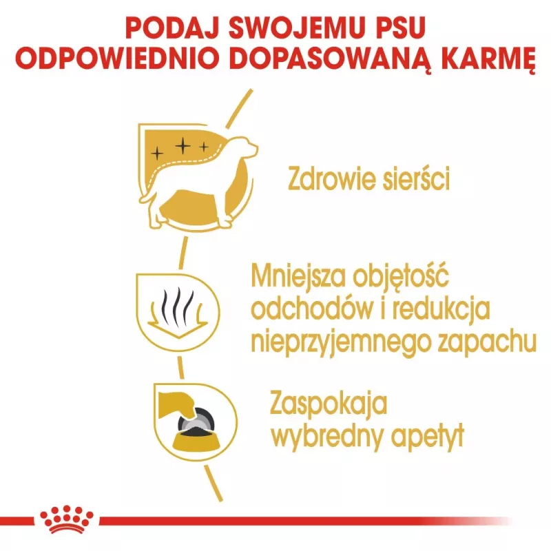 Kuiv koeratoit Royal Canin Maltese Adult 1,5 kg — kana, 24% valku, 18% rasva