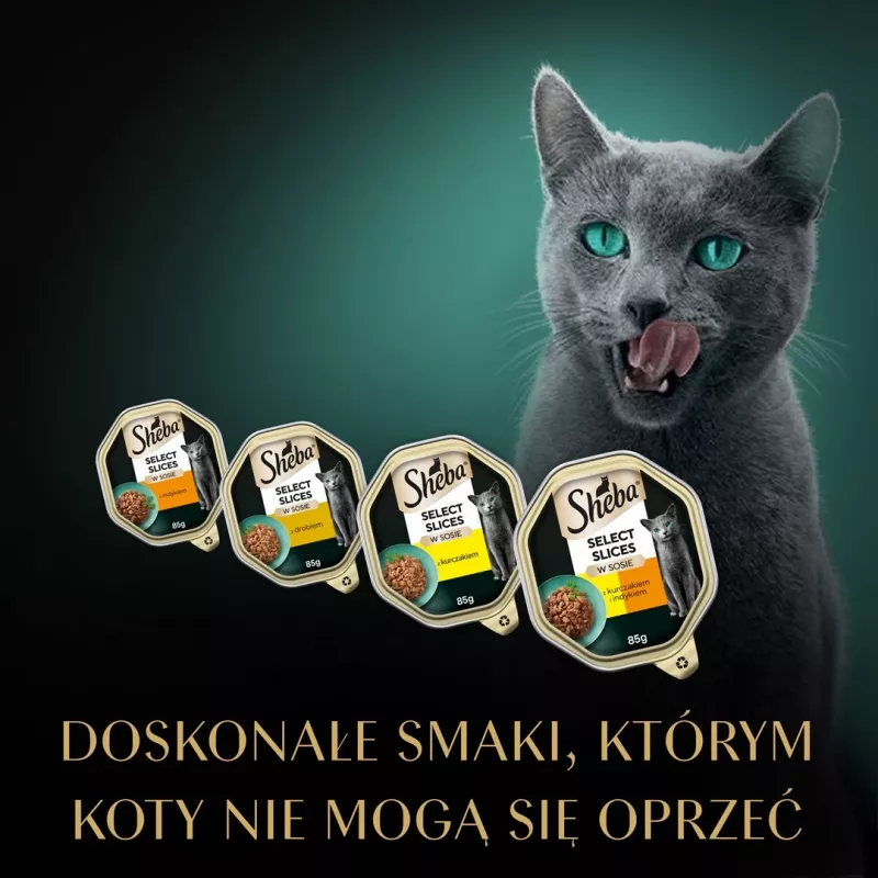 Märg kassitoit Sheba kandik Kaste Linnuliha (kana, kalkun) 32 x 85 g kandik
