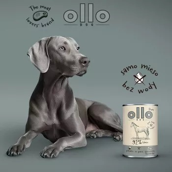 OLLO Pure Horse - märg koeratoit - 400g