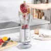 Blender Salter EK5531MMSVDE
