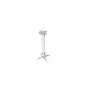 Wall Mount Reflecta 23059 Silver