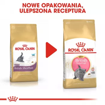 Kuiv kassitoit Royal Canin British Shorthair Kitten 2 kg – kana, 38% valku, 20% rasva, kasvuvalem
