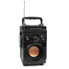 Squeak Bassblaster Bluetooth 5.1 kõlar, FM-raadio, MP3-mängija SQ1001