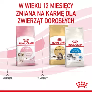 Kuiv kassitoit Royal Canin Kitten 4 kg linnulihaga — juuniorite kuivdieet, 36% valku, 18% rasva
