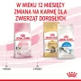 Kuiv kassitoit Royal Canin Kitten 4 kg linnulihaga — juuniorite kuivdieet, 36% valku, 18% rasva
