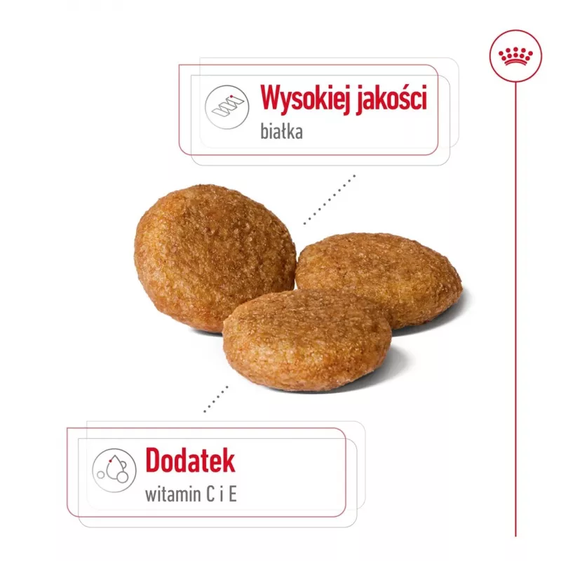 Kuiv koeratoit Royal Canin SHN Medium Adult 15 kg — täisväärtuslik toit täiskasvanud keskmist tõugu koertele, linnuliha, 25% valku, 14% rasva