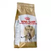 Kuiv kassitoit Royal Canin Bengal Adult 2 kg — linnuliha, 40% valku, 18% rasva, seedimise ja naha hooldus
