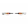 HDMI-kaabel DeLOCK 85729 2 m HDMI Type A Standard Must Kuldne