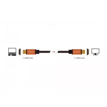 HDMI-kaabel DeLOCK 85729 2 m HDMI Type A Standard Must Kuldne